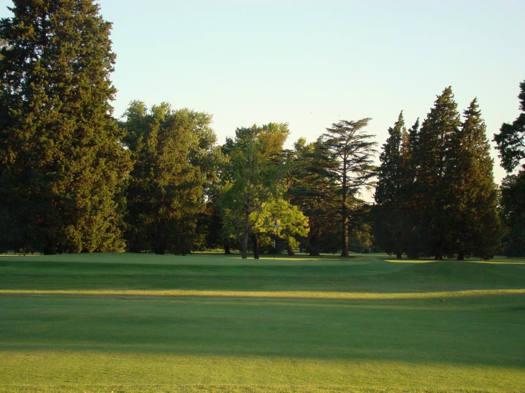 Fairway running away between the trees